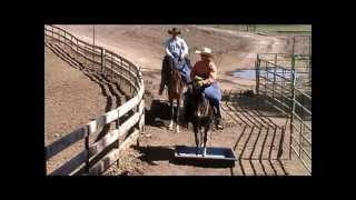 HDTR BCH Klamath Falls Pack Clinic Sale Mules  Reese amp Clancy [upl. by Tobiah449]