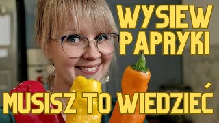 Wysiew papryki  czarna czerwona żółta  najważniejsze informacje i wskazówki jak sadzić paprykę [upl. by Svoboda]