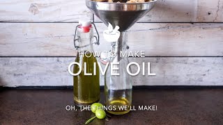 How to Make Olive Oil Without Specialized Equipment [upl. by Aleafar]