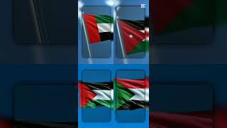 JJ ALIBI COUNTRYBALL UAE 🇦🇪 JORDAN 🇯🇴 PALESTINE 🇵🇸 SUDAN 🇸🇩shortsjjalibisubscribefyppeace [upl. by Neelhtac]