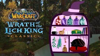 ORDNUNG im Inventar  Lets Play WotLk CLASSIC WoW 53 [upl. by Barrie581]