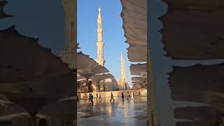 masjidnabawi madina beautiful view youtubeshorts [upl. by Kaasi]