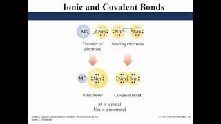 Ions Transfer of Electrons [upl. by Karlik]