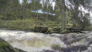 Wildwasser Hohe Rur Kanusport zwischen Reichenstein und Monschau [upl. by Sikata647]