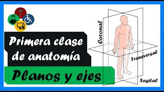 PRIMERA clase de ANATOMIA  PLANOS Y EJES anatómicos [upl. by Valentino]