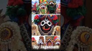 Radha na meera se  jagannath bhajan  jagannath bhakta 🙏🏻🙏🏻🙏🏻 [upl. by Eceined]