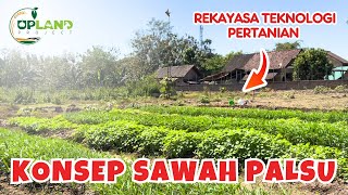 Cara Sederhana Buat Bedengan Untuk Tanaman Sayuran di Lahan Tegalan Dengan Cangkul [upl. by Annohsat]