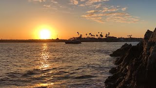 Stunning Corona Del Mar Beach 🏝 [upl. by Olrak]