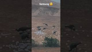 Power of Samsung galaxy S20 camera zoom test 😯🔥 samsung shorts viral [upl. by Stefano370]