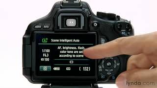 Canon DSLR Tutorial  Setting the auto mode [upl. by Assirk]