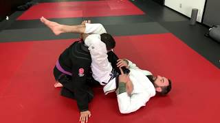 PARTNER DRILL  ARMBARTRIANGLEOMOPLATA [upl. by Carrnan]