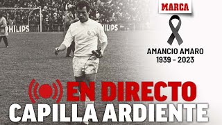 Muere Amancio Amaro leyenda del Real Madrid con 83 años  DIRECTO MARCA [upl. by Klump551]