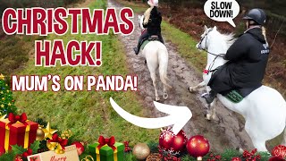 A VERY FAST CHRISTMAS HACK  MUM RIDES PANDA [upl. by Zela]