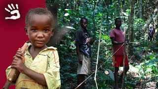 Les Pygmées du Congo  Défis espoirs et identité  Chasseurscueilleurs  Documentaire  AMP [upl. by Lauryn]