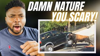 🇬🇧BRIT Reacts To DAMN NATURE YOU SCARY  FUNNY amp SCARY ANIMAL ENCOUNTERS [upl. by Isis]