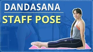 LEARN HOW TO do the STAFF POSE  Dandasana  Simple Yoga  Yoga For Beginners  Mind Body Soul [upl. by Lawley713]