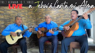 Trio Hermanos Torres  A Jehová Canta mi Alma Live [upl. by Aicelef]