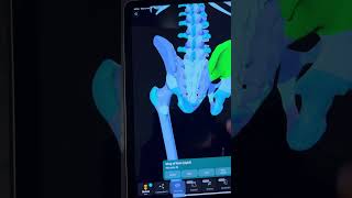 ⚡️ The most accurate model of the human body  Easy Anatomy 3D App [upl. by Noslrac]