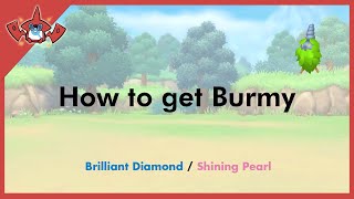 How to get Burmy in Pokemon Brilliant Diamond amp Shining Pearl 412 [upl. by Lad60]