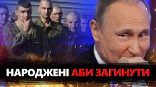 МЕНТАЛЬНІСТЬ московита росіянка ШОКУВАЛА заявою про МІСІЮ чоловіків СПРАВЖНІЙ путінський НАРОД [upl. by Kenelm]