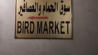 PANANDALIANG VIDEO SA BIRD MARKET [upl. by Annaxor943]