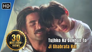 Tujhko Na Dekhun To Ji Ghabrata Hai  Jaanwar 1999  Akshay Kumar  Udit Narayan Hit Songs [upl. by Fulvia272]