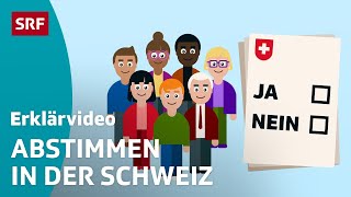 Direkte Demokratie – einfach erklärt  Kindervideos  SRF Kids [upl. by Nairad]