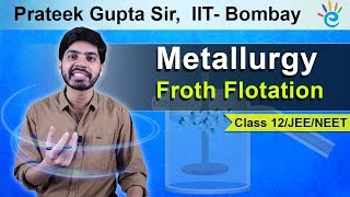 Metallurgy  Froth Flotation Class 12  IIT JEE Mains  NEET [upl. by Arty]