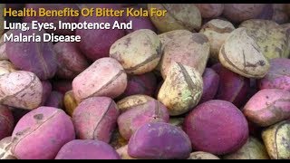 Health Benefits Of Bitter Kola Garcinia Kola For Lungs Eyes Sexual Health amp Malaria Treatments [upl. by Mastat665]