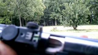 Gamo CFX Pellet Rifle [upl. by Krystalle]