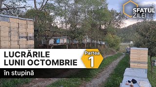 Lucrările lunii OCTOMBRIE în stupină partea Ia [upl. by Popele376]