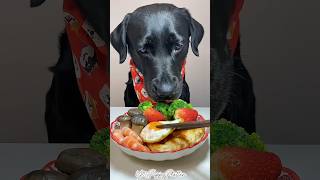 Breakfast Time🍳puppy dog dogfood shorts shortsvideo youtubeshorts [upl. by Annaeiluj]