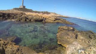 Vistas submarinas Cala del Faro de Cabo de Palos con erizos de mar [upl. by Kast]