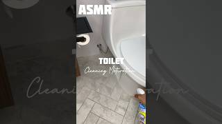 Toilet 🧽🫧🧼 asmr cleaning cleanwithme asmrcleaning cleantok cleaningasmr cleaninghacks fyp [upl. by Attenev]