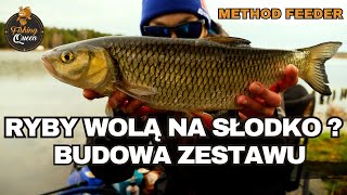 Jaka wędka Jaki kołowrotek Method Feeder budowa zestawu [upl. by Eatton]