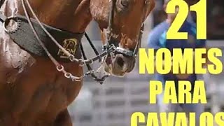 21 NOMES PARA CAVALOS [upl. by Chavez]