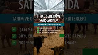 İthal Gebe Düve Satışlarında Tarım ve Orman Bakanlığı Kriterleri Nelerdir [upl. by Gonzalez]