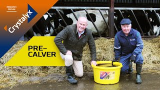 Crystalyx PreCalver Scientific Breakthroughs in Spring Calving Supplementation [upl. by Griff157]