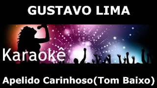 Apelido Carinhoso KARAOKE  Gustavo Lima1tom [upl. by Jelks]