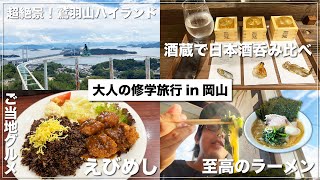 美味いもんを呑み食い！大人になってからの岡山旅が最高すぎる！【保存版】 [upl. by Notreb]