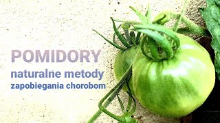 POMIDORY naturalne metody zapobiegania chorobom [upl. by Ahtamat]