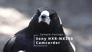 Sony HXRNX200 Test Footage [upl. by Amaryl]