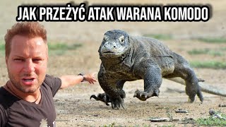 WARAN Z KOMODO  CZY DA SIĘ PRZEŻYĆ ATAK [upl. by Alicul]