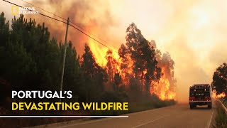 Portugal’s Devastating Wildfire  Witness to Disaster  हिंदी  Full Episode  S1  E2  Nat Geo [upl. by Sib752]