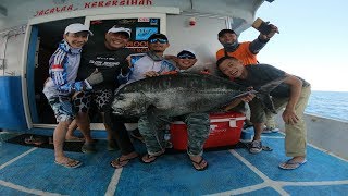 Slow pitch Jigging  Hearty Rise Slow Jigging Tournament 2019  Seafloor Control Team Won [upl. by Fonsie]