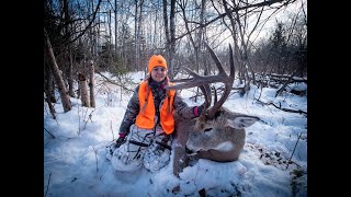 Saskatchewan Whitetail  Big Spruce Outfitters  Crazy looking old buck [upl. by Courtnay]