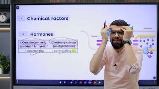 CVS 4 Contractility Part 2 Factors affecting [upl. by Houser288]