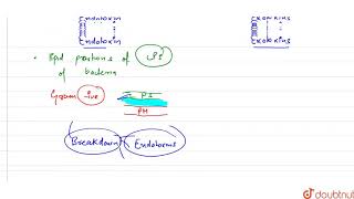 Bacterial endotoxin is [upl. by Rovert]