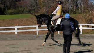 Rose Dressage Lesson Nov 16 2024 [upl. by Lynne]