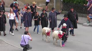 Schäferlauf Wildberg Festzug 2018 [upl. by Hedgcock]